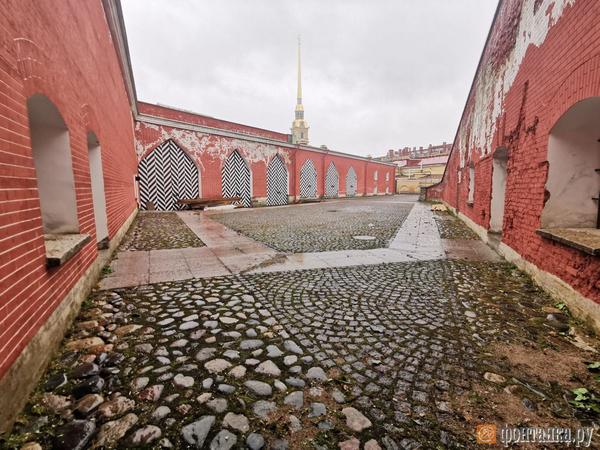 Ксения Потеева/"Фонтанка.ру"/Архив